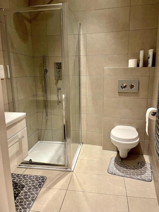 Stylish Modern Studio In West End Zone-2 Apartment *